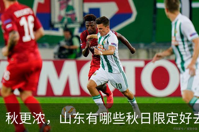 秋更浓，山东有哪些秋日限定好去处？