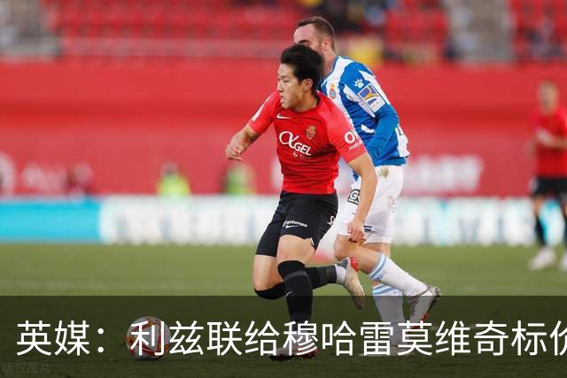 英媒：利兹联给穆哈雷莫维奇标价6000万镑，但1月不卖