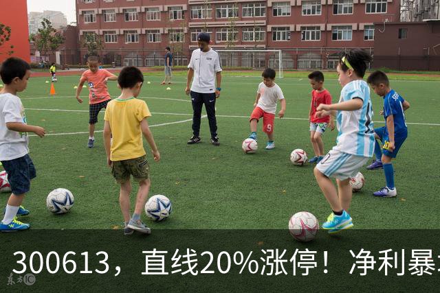 300613，直线20%涨停！净利暴增超800%