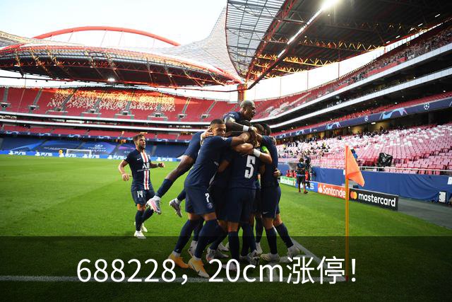 688228，20cm涨停！